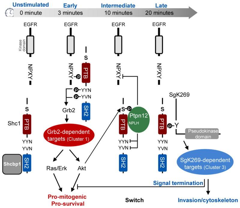 https://cdn.ncbi.nlm.nih.gov/pmc/blobs/8f60/4931914/69a7e7795c09/nihms3931f6.jpg