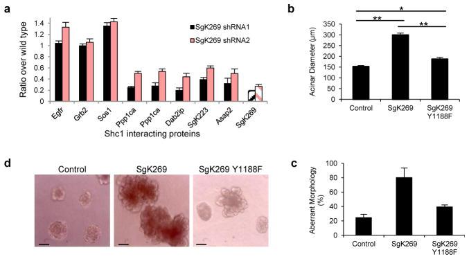 https://cdn.ncbi.nlm.nih.gov/pmc/blobs/8f60/4931914/70b25ee71096/nihms3931f5.jpg