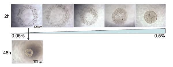 https://cdn.ncbi.nlm.nih.gov/pmc/blobs/8f61/4043634/a2a33ecd755b/nihms-361939-f0002.jpg