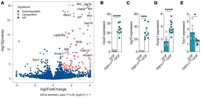 https://cdn.ncbi.nlm.nih.gov/pmc/blobs/8f64/11060736/523311d2c7ab/jci-134-176474-g175.jpg