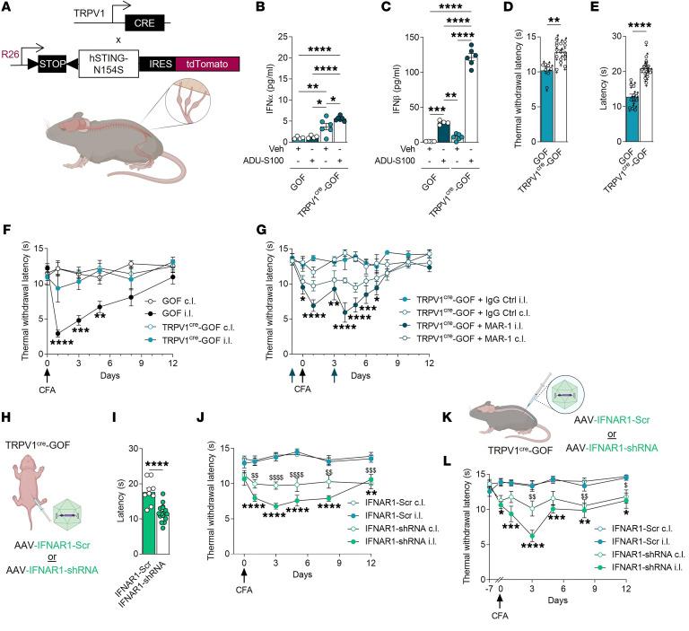 https://cdn.ncbi.nlm.nih.gov/pmc/blobs/8f64/11060736/8ce956816f60/jci-134-176474-g174.jpg