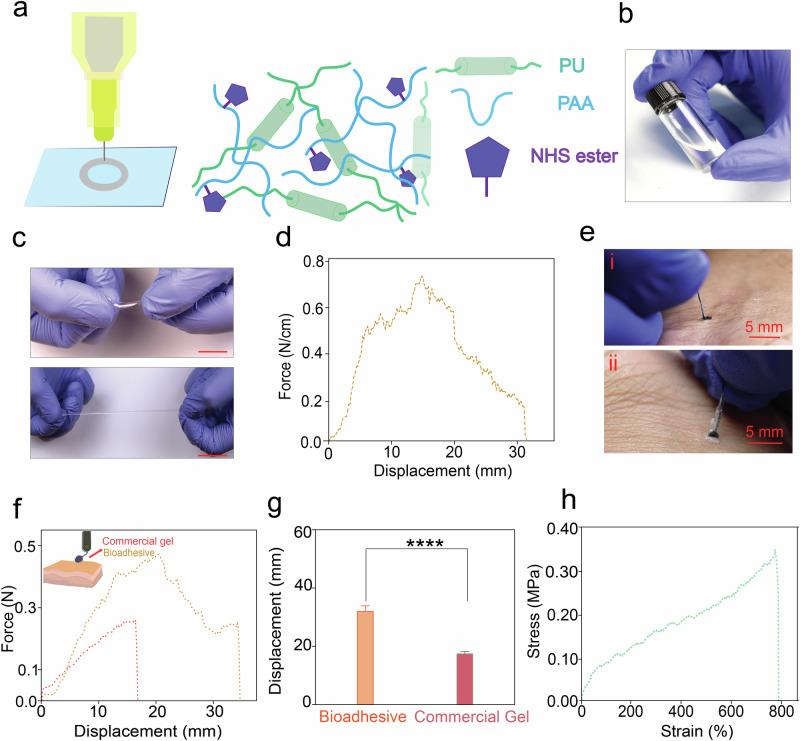 https://cdn.ncbi.nlm.nih.gov/pmc/blobs/8f64/11931732/6dca624da733/44385_2025_9_Fig2_HTML.jpg