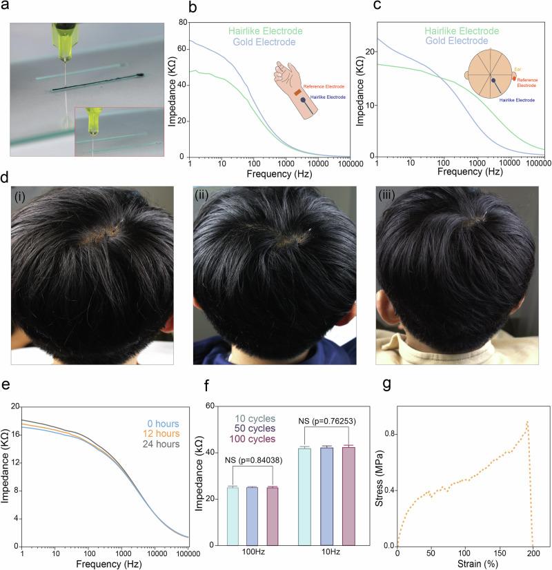 https://cdn.ncbi.nlm.nih.gov/pmc/blobs/8f64/11931732/a4babcdd94fb/44385_2025_9_Fig3_HTML.jpg