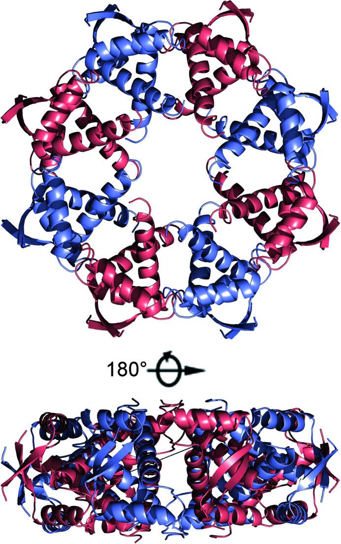 https://cdn.ncbi.nlm.nih.gov/pmc/blobs/8f64/8251345/f8f4485e2e89/d-77-00904-fig4.jpg