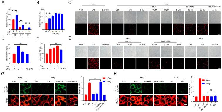 https://cdn.ncbi.nlm.nih.gov/pmc/blobs/8f67/10572513/b985c7659f6c/ijms-24-14595-g002.jpg