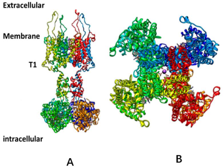 https://cdn.ncbi.nlm.nih.gov/pmc/blobs/8f67/10890431/241360c301de/membranes-14-00037-g001.jpg