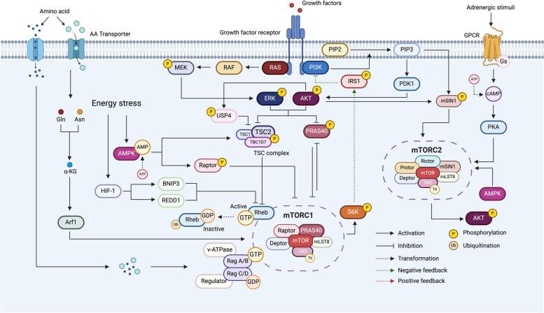 https://cdn.ncbi.nlm.nih.gov/pmc/blobs/8f67/11165851/f8d61e89ae7d/12964_2024_1699_Fig1_HTML.jpg