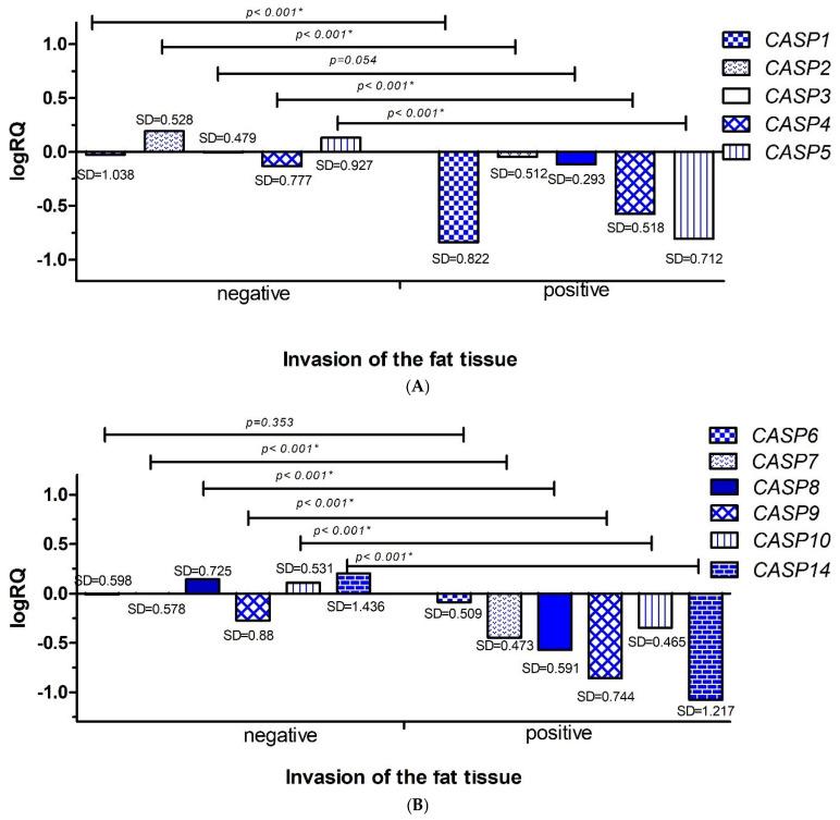 https://cdn.ncbi.nlm.nih.gov/pmc/blobs/8f67/12347209/dccd46fc51c7/ijms-26-07463-g006.jpg