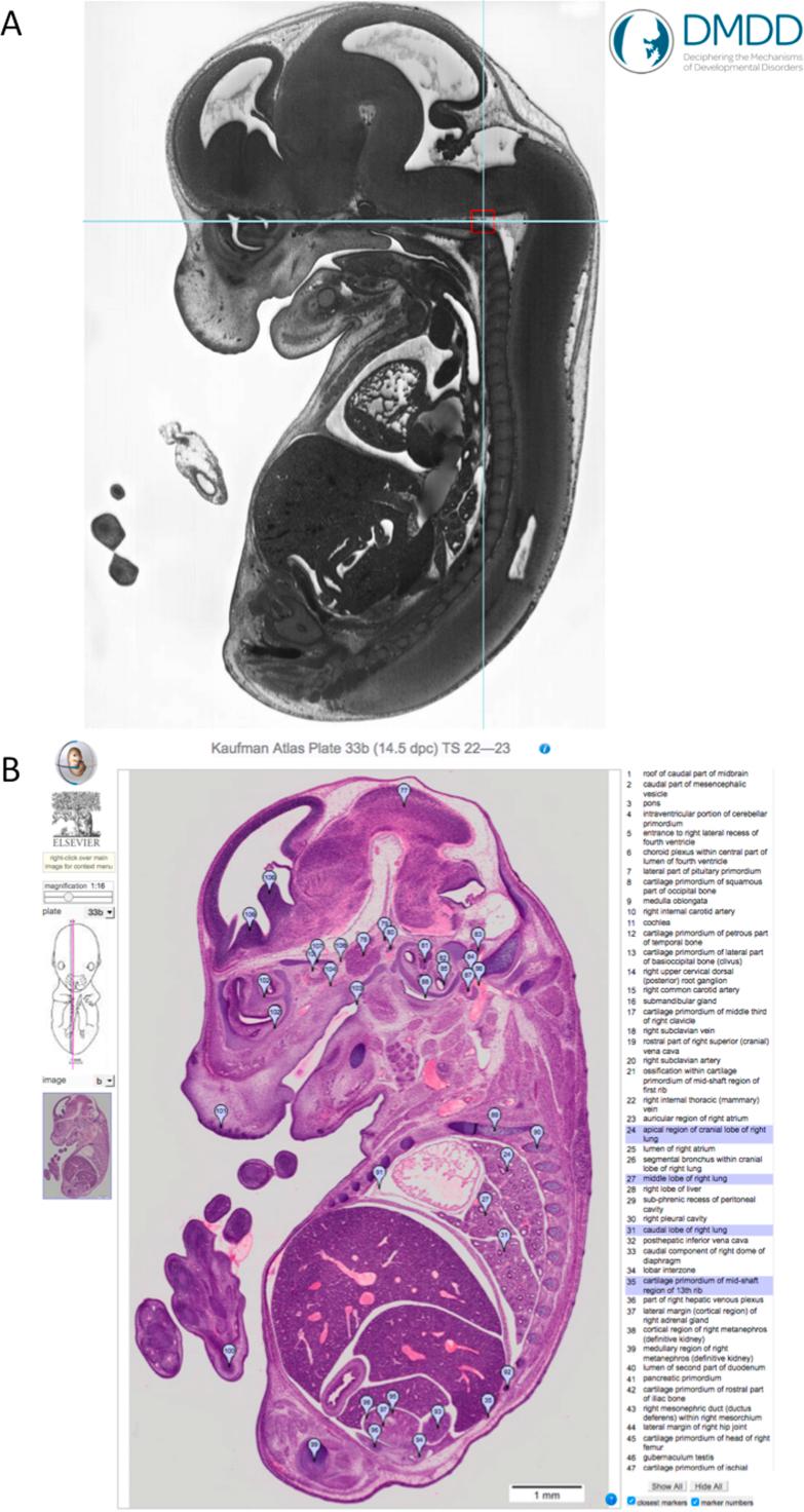 https://cdn.ncbi.nlm.nih.gov/pmc/blobs/8f68/5442644/8c07d174059b/gr5.jpg