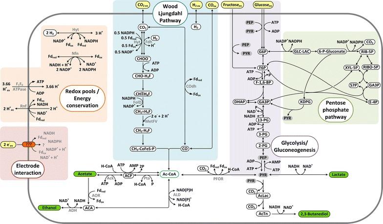 https://cdn.ncbi.nlm.nih.gov/pmc/blobs/8f6c/5112729/e71e973288b3/13068_2016_663_Fig5_HTML.jpg