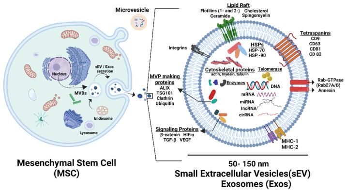 https://cdn.ncbi.nlm.nih.gov/pmc/blobs/8f6d/11200821/4af29360b028/bioengineering-11-00524-g002.jpg