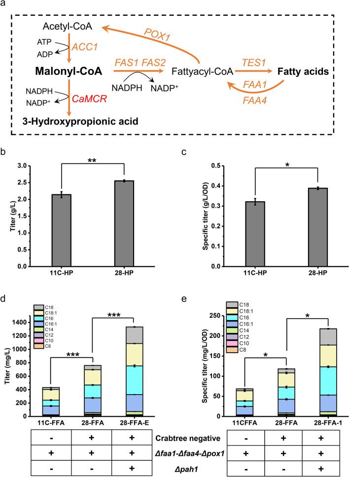 https://cdn.ncbi.nlm.nih.gov/pmc/blobs/8f6d/9985264/24921bf178db/13068_2023_2276_Fig5_HTML.jpg