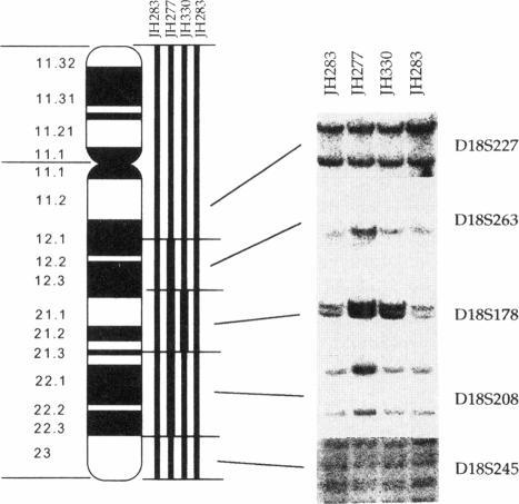 https://cdn.ncbi.nlm.nih.gov/pmc/blobs/8f6f/1682493/244e4b65fb8d/ajhg00057-0119-b.jpg