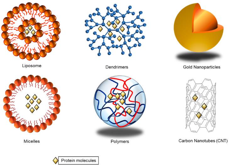 https://cdn.ncbi.nlm.nih.gov/pmc/blobs/8f6f/7910976/f924da9d29d4/pharmaceutics-13-00155-g001.jpg