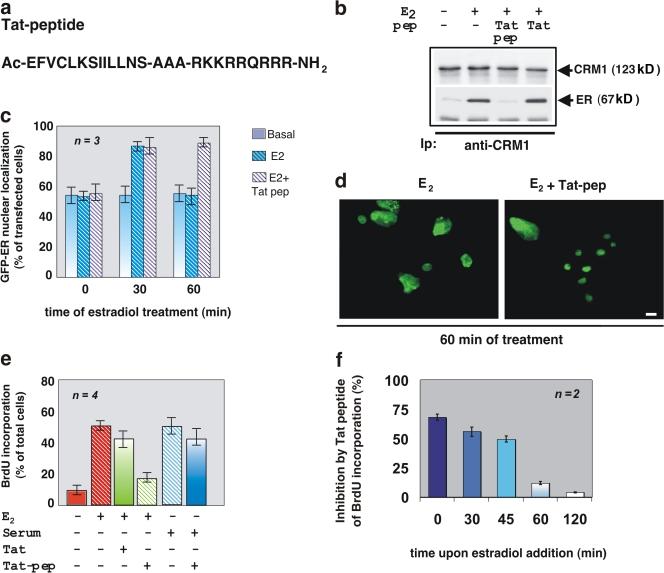https://cdn.ncbi.nlm.nih.gov/pmc/blobs/8f70/2483513/03dd12040e8e/jcb1820327f03.jpg