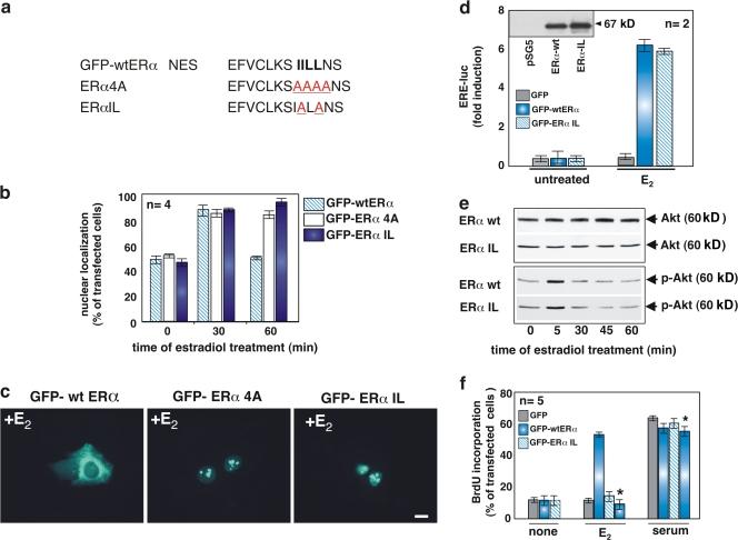https://cdn.ncbi.nlm.nih.gov/pmc/blobs/8f70/2483513/b711b7fb70ec/jcb1820327f04.jpg