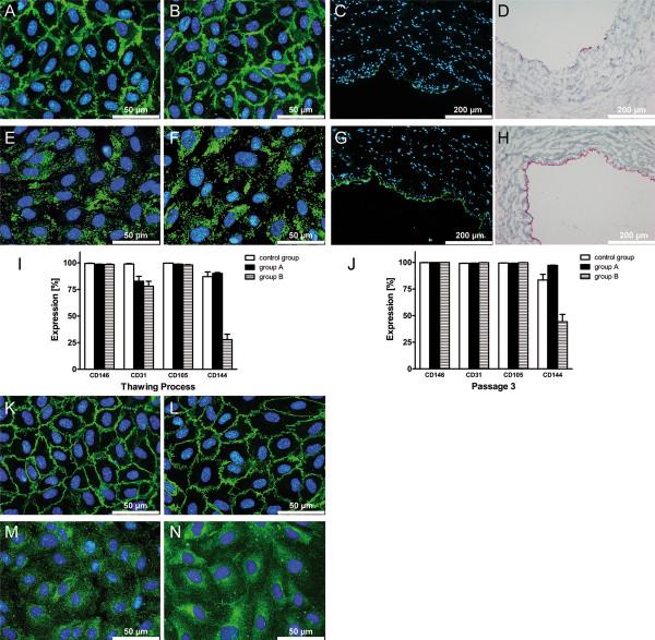 https://cdn.ncbi.nlm.nih.gov/pmc/blobs/8f70/3422199/8357e16378a0/1479-5876-10-98-6.jpg