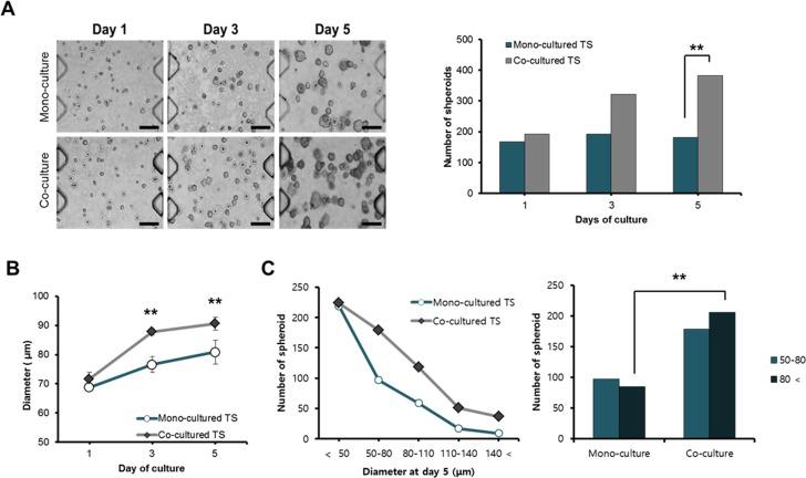 https://cdn.ncbi.nlm.nih.gov/pmc/blobs/8f71/4938568/52ec950358b9/pone.0159013.g003.jpg