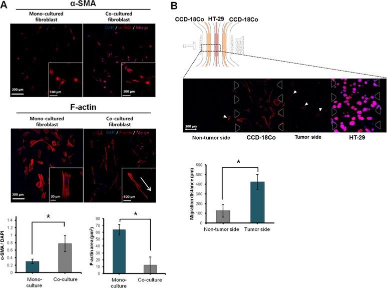 https://cdn.ncbi.nlm.nih.gov/pmc/blobs/8f71/4938568/5eb9e26bbcbd/pone.0159013.g005.jpg