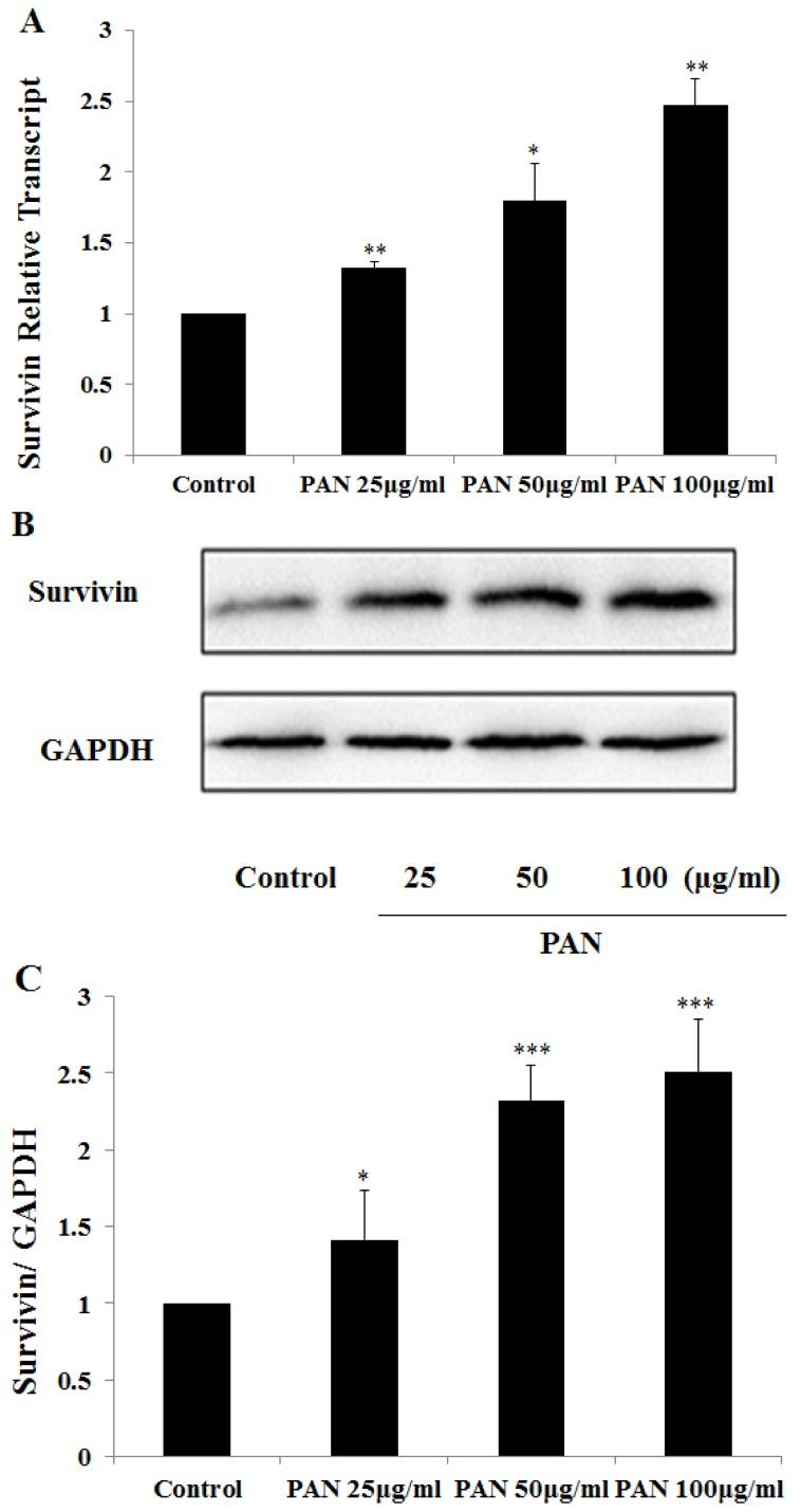 https://cdn.ncbi.nlm.nih.gov/pmc/blobs/8f72/4013653/f783c2d9b508/ijms-15-06657f1.jpg