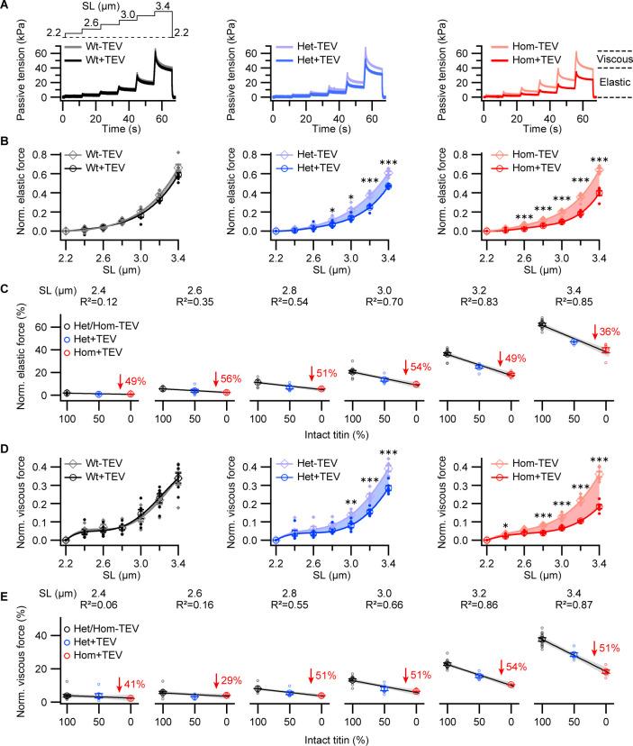 https://cdn.ncbi.nlm.nih.gov/pmc/blobs/8f73/7781594/67fae454aaed/elife-64107-fig2.jpg
