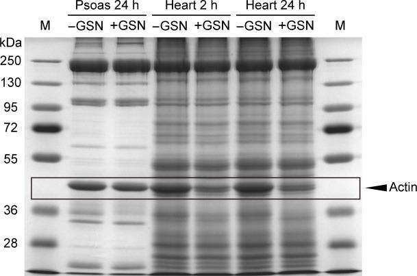 https://cdn.ncbi.nlm.nih.gov/pmc/blobs/8f73/7781594/b452b3d60fff/elife-64107-fig5-figsupp2.jpg