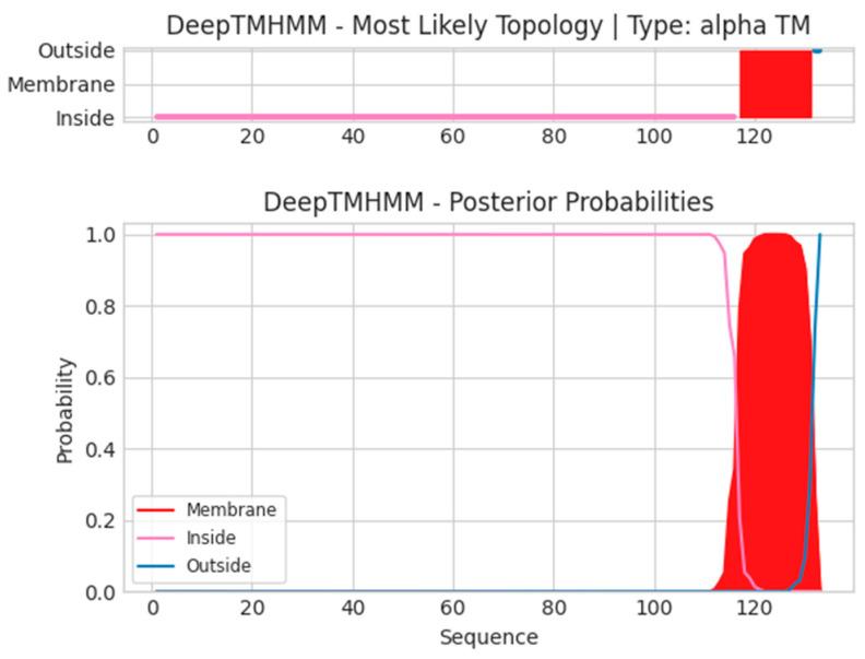 https://cdn.ncbi.nlm.nih.gov/pmc/blobs/8f74/12346078/b478ac811fbc/ijms-26-07210-g0A8.jpg