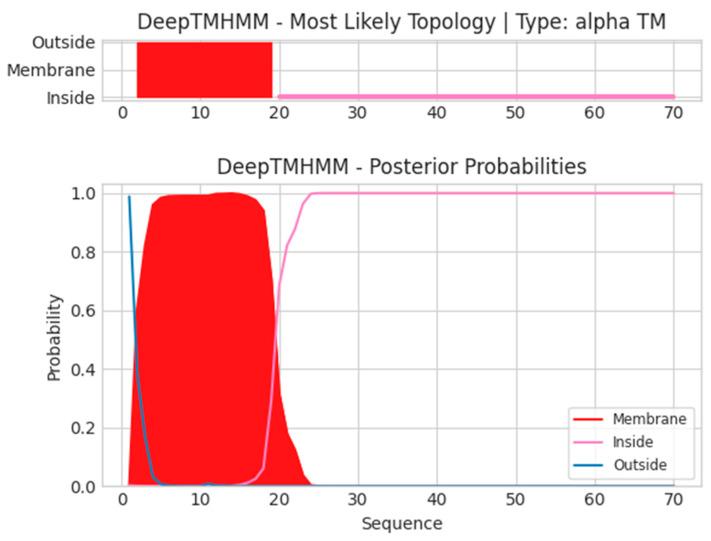 https://cdn.ncbi.nlm.nih.gov/pmc/blobs/8f74/12346078/c4d475256d94/ijms-26-07210-g0A1.jpg