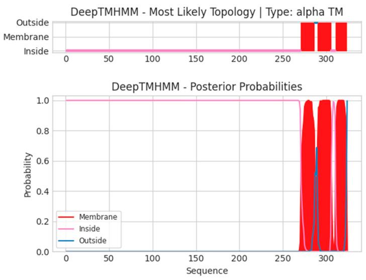 https://cdn.ncbi.nlm.nih.gov/pmc/blobs/8f74/12346078/e3fc93fb9f73/ijms-26-07210-g0A7.jpg