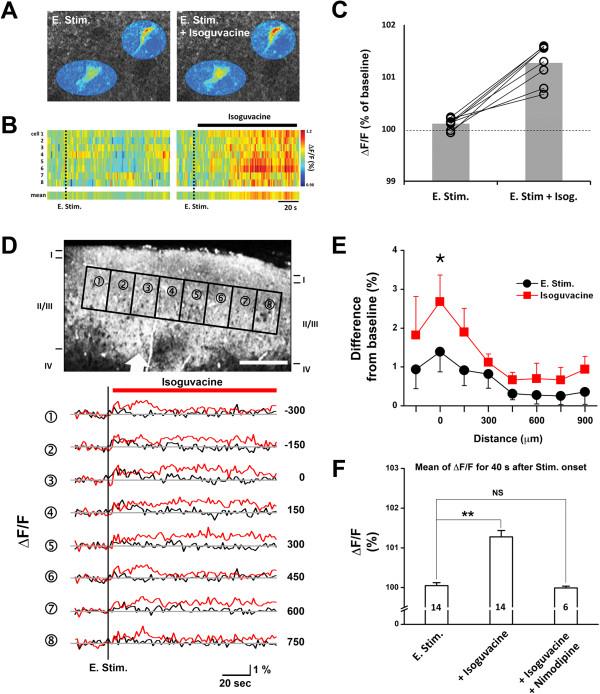 https://cdn.ncbi.nlm.nih.gov/pmc/blobs/8f74/3520830/5bb75be18824/1756-6606-5-33-4.jpg