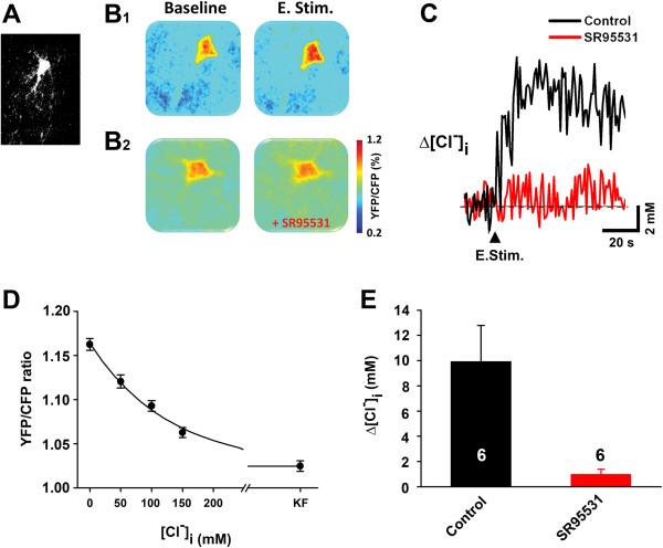 https://cdn.ncbi.nlm.nih.gov/pmc/blobs/8f74/3520830/d94a4cecaf97/1756-6606-5-33-3.jpg