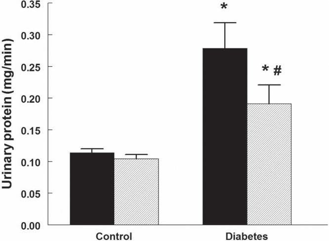 https://cdn.ncbi.nlm.nih.gov/pmc/blobs/8f74/4816883/c6037b807e12/iups-120-233.04.jpg