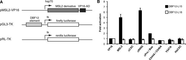 https://cdn.ncbi.nlm.nih.gov/pmc/blobs/8f76/2879509/60f52ebdb013/gkq026f7.jpg