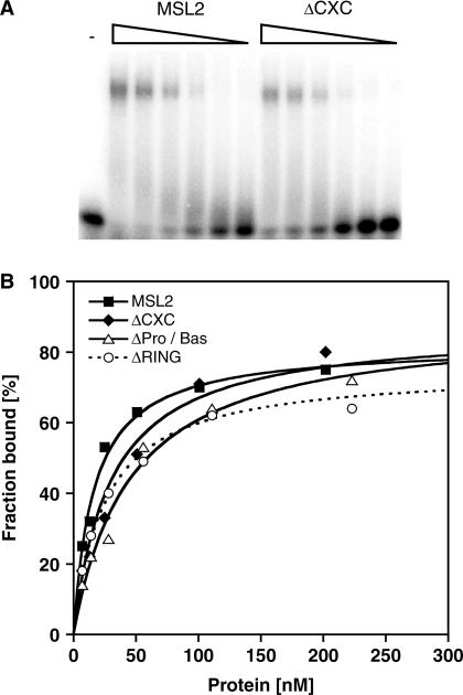 https://cdn.ncbi.nlm.nih.gov/pmc/blobs/8f76/2879509/742832f4515e/gkq026f5.jpg