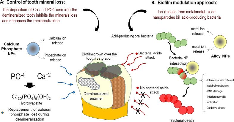 https://cdn.ncbi.nlm.nih.gov/pmc/blobs/8f76/6299130/2002a6fe7342/gr3.jpg