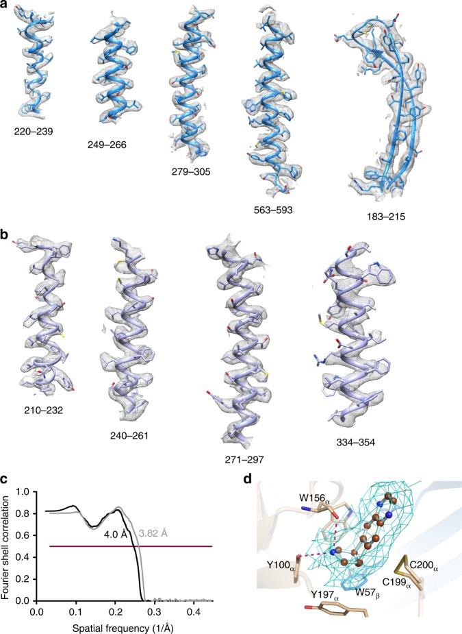 https://cdn.ncbi.nlm.nih.gov/pmc/blobs/8f76/7101349/c51d3b5ecede/41467_2020_15363_Fig7_HTML.jpg