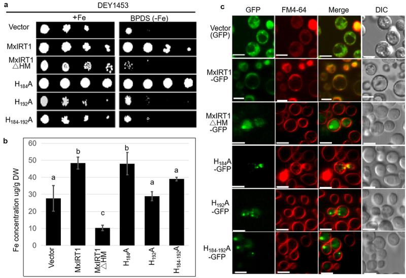 https://cdn.ncbi.nlm.nih.gov/pmc/blobs/8f77/8928839/d34001847905/KPSB_A_2005881_F0003_OC.jpg
