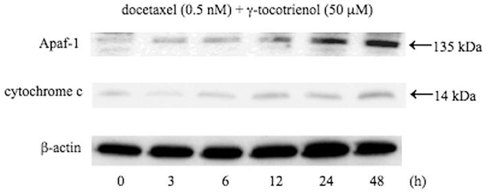 https://cdn.ncbi.nlm.nih.gov/pmc/blobs/8f78/3583629/677c1919dace/IJO-42-01-0075-g05.jpg