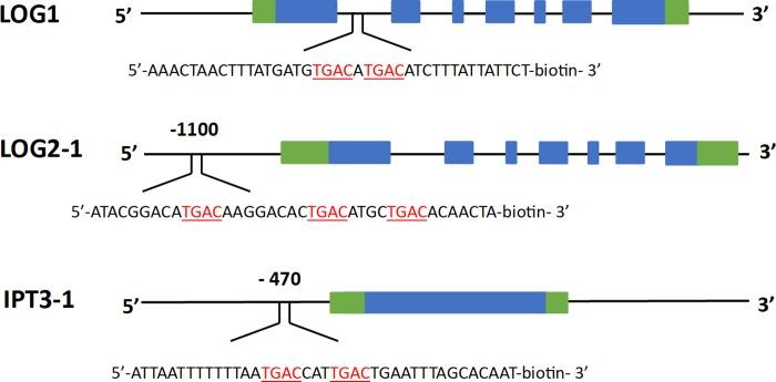 https://cdn.ncbi.nlm.nih.gov/pmc/blobs/8f78/7192382/f605ab0c5043/pone.0232352.g002.jpg