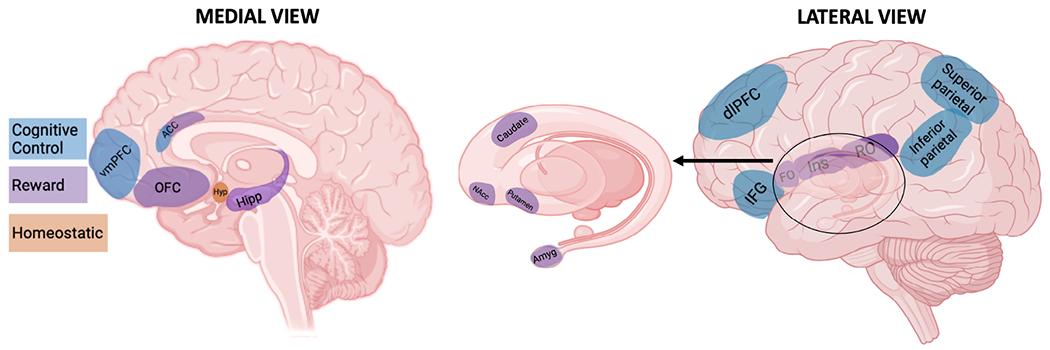 https://cdn.ncbi.nlm.nih.gov/pmc/blobs/8f79/10826337/94c79fc50dde/nihms-1959616-f0003.jpg