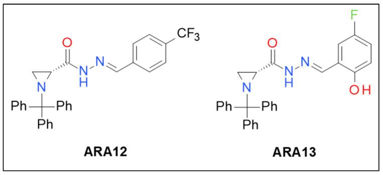https://cdn.ncbi.nlm.nih.gov/pmc/blobs/8f7a/10378024/5bc61ad7334c/cells-12-01906-g001.jpg