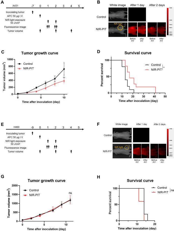 https://cdn.ncbi.nlm.nih.gov/pmc/blobs/8f7a/11699179/47ae4544ed78/262_2024_3903_Fig4_HTML.jpg