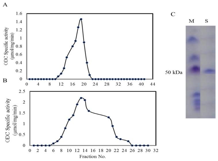 https://cdn.ncbi.nlm.nih.gov/pmc/blobs/8f7a/6696095/cd8c7b0c241c/molecules-24-02756-g003.jpg