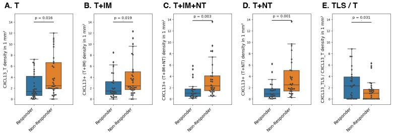 https://cdn.ncbi.nlm.nih.gov/pmc/blobs/8f7b/10887067/c3ee88a7cf41/cancers-16-00708-g002.jpg