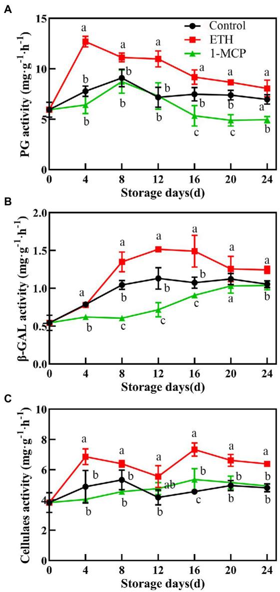 https://cdn.ncbi.nlm.nih.gov/pmc/blobs/8f7e/9531572/61a4e10b0202/fpls-13-971050-g003.jpg