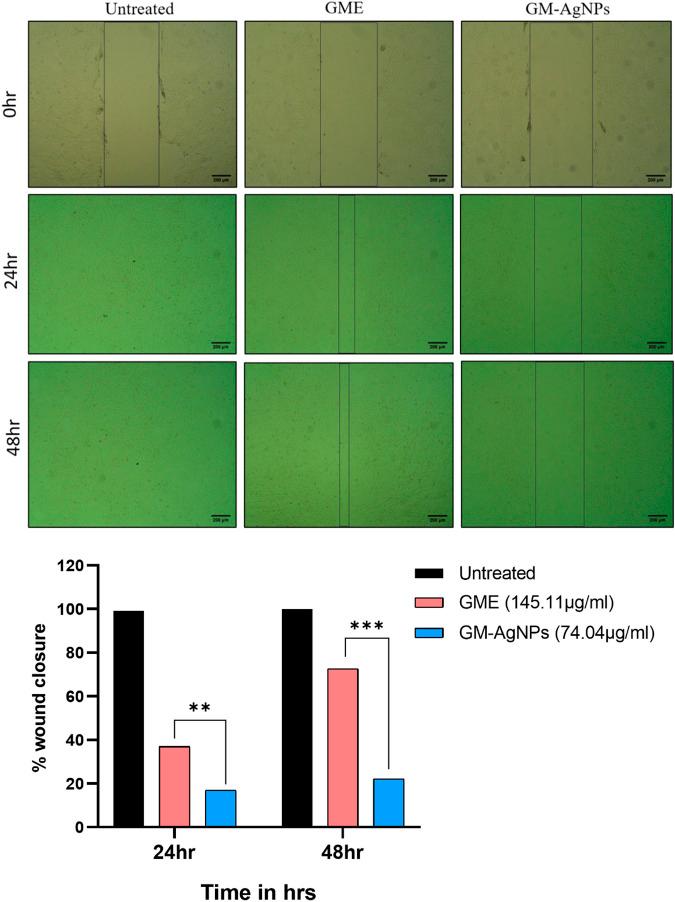 https://cdn.ncbi.nlm.nih.gov/pmc/blobs/8f80/11447554/ae7508aa1bcc/fchem-12-1427797-g009.jpg