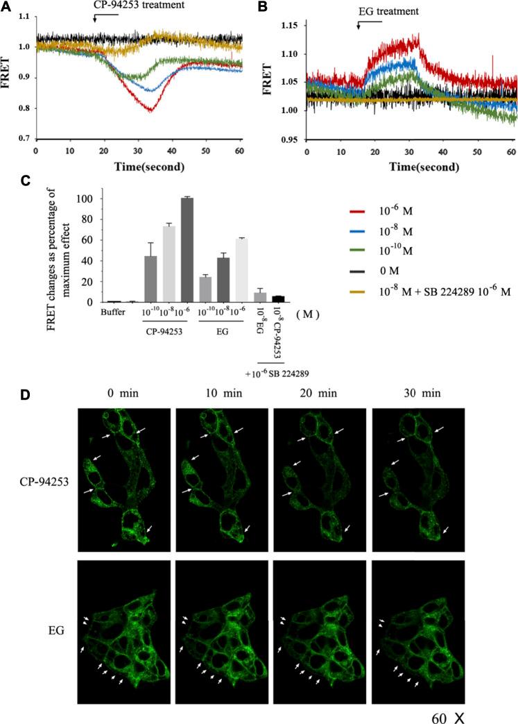 https://cdn.ncbi.nlm.nih.gov/pmc/blobs/8f80/8450432/250f6a657f72/fphar-12-735876-g004.jpg