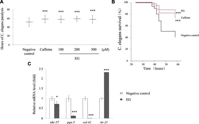 https://cdn.ncbi.nlm.nih.gov/pmc/blobs/8f80/8450432/77c0e5c268d8/fphar-12-735876-g008.jpg