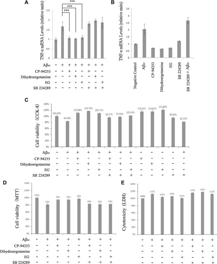 https://cdn.ncbi.nlm.nih.gov/pmc/blobs/8f80/8450432/978fe70a8e6e/fphar-12-735876-g007.jpg