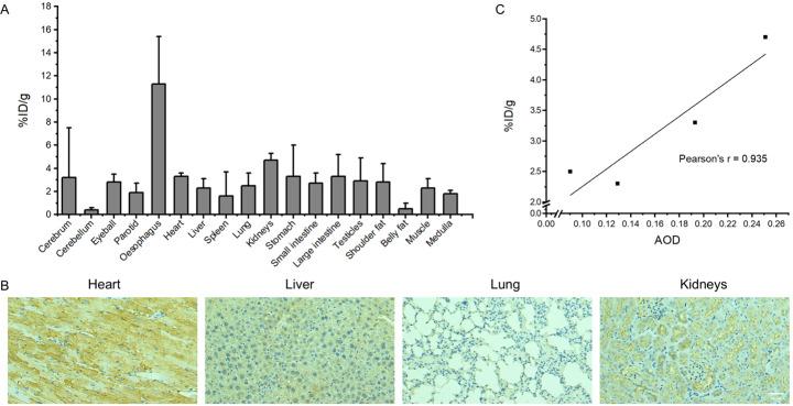 https://cdn.ncbi.nlm.nih.gov/pmc/blobs/8f81/11612064/cdb2f0b2fc49/41181_2024_316_Fig3_HTML.jpg